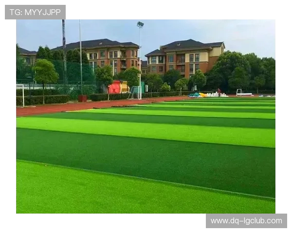 以足球假草坪基础建设为核心探讨高品质运动场地铺设与维护策略
