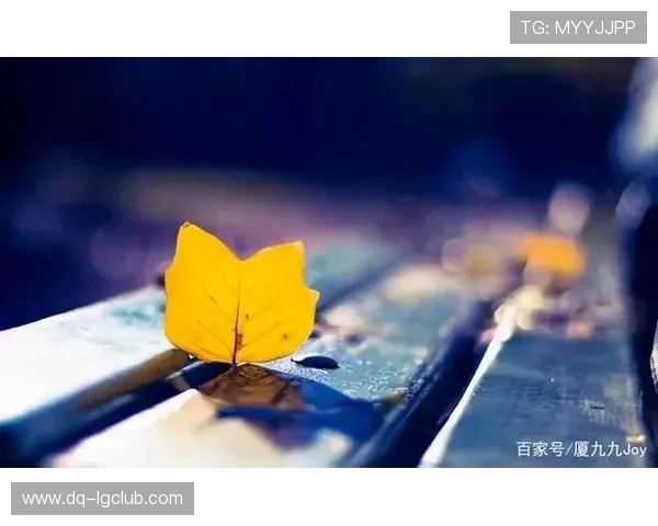 对足球训练感到厌倦的心情与思考,我是否还能坚持下去 对足球训练感到厌倦的心情与思考,我是否还能坚持下去